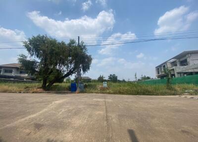 Photo of the exterior vacant lot area