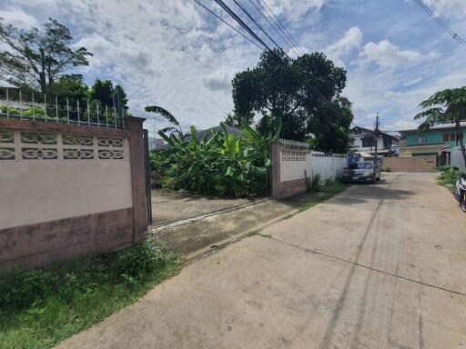 Driveway leading to a building with fenced boundaries and greenery