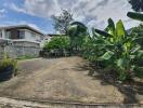 Spacious backyard with garden and trees