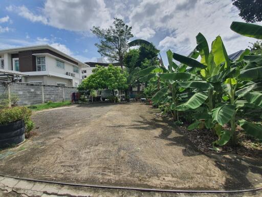 Spacious backyard with garden and trees