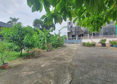 House with garden and plants