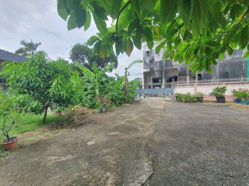 House with garden and plants