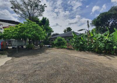 Spacious Yard with Lush Greenery