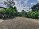 Spacious Yard with Lush Greenery