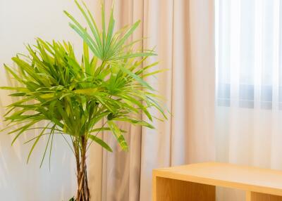 Living room with a potted plant and wooden furniture