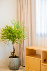 Living room with a potted plant and wooden furniture