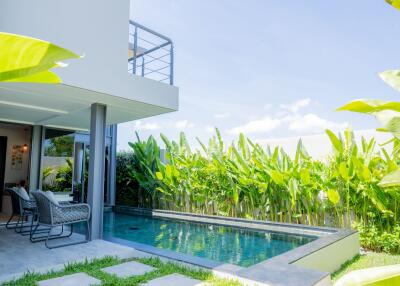 Modern outdoor space with pool and greenery