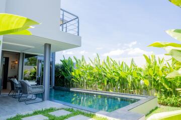 Modern outdoor space with pool and greenery