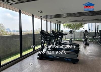 Modern gym with multiple treadmills and large windows