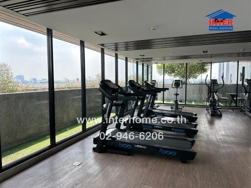 Modern gym with multiple treadmills and large windows