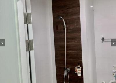 Modern bathroom with shower