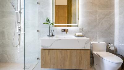 Modern bathroom with a walk-in shower, a vanity with a mirror, and a toilet