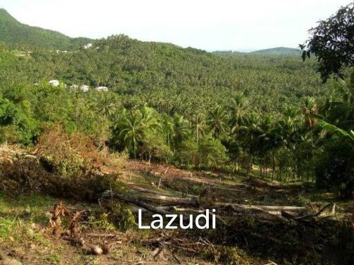 Affordable Freehold Land with Ocean Views in Mae Nam, Ko Samui