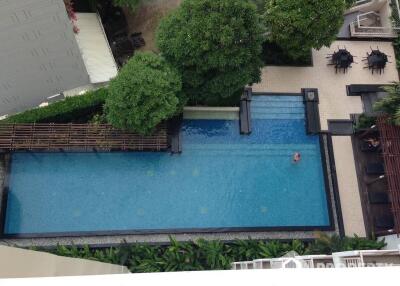 1-BR Condo at Condo One X Sukhumvit 26 near BTS Phrom Phong