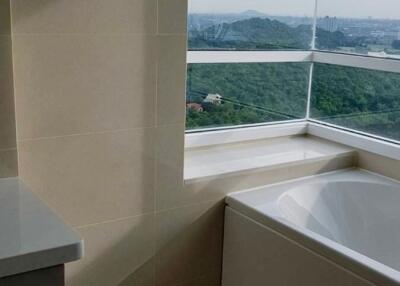 Bathroom with a view