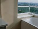 Bathroom with a view