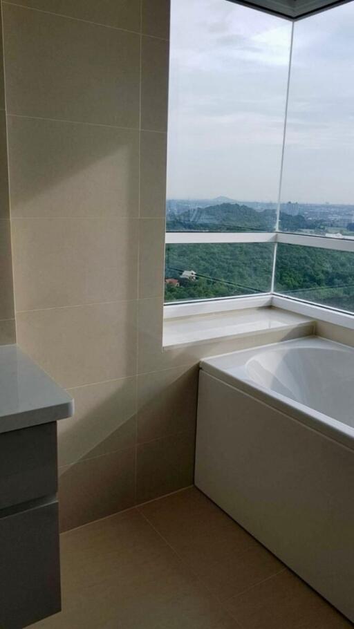 Bathroom with a view