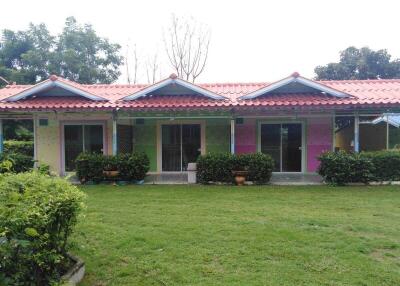 Outdoor view of a single-story house with three units, green lawn, and plants