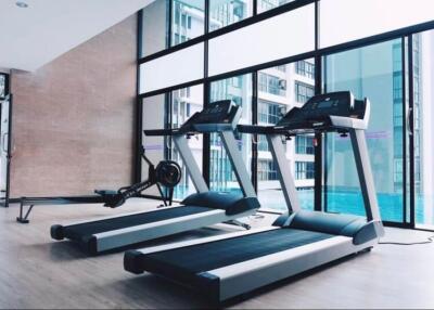 Modern gym with large window and exercise equipment