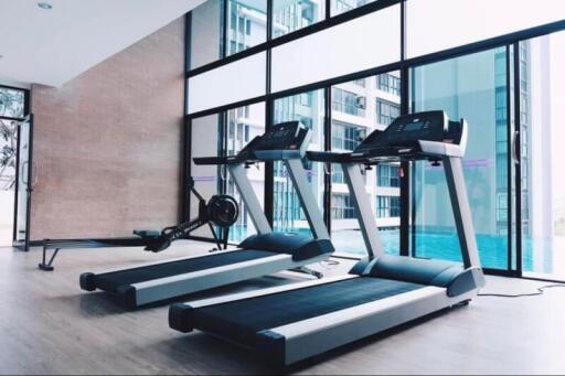 Modern gym with large window and exercise equipment