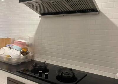 Modern kitchen with stovetop and range hood