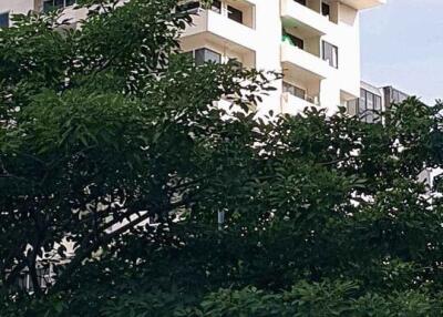 View of a tall modern residential building with trees in the foreground