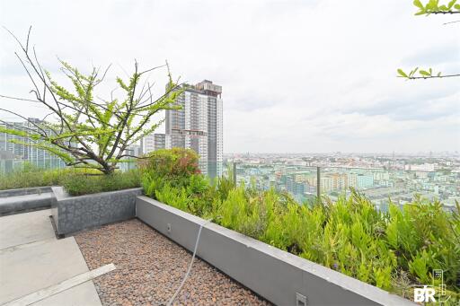 Life@Ratchada - Huaikhwang MRT Huai Khwang 1 Bed 1 Bath  C1907301016