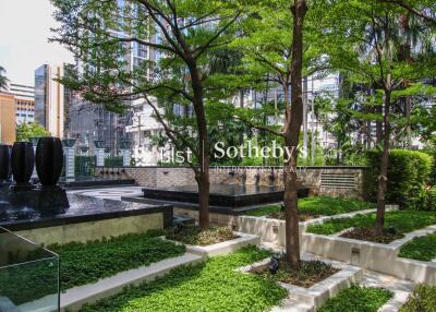 Green outdoor garden area with water feature