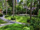 Beautiful outdoor garden with lush greenery and a walking path