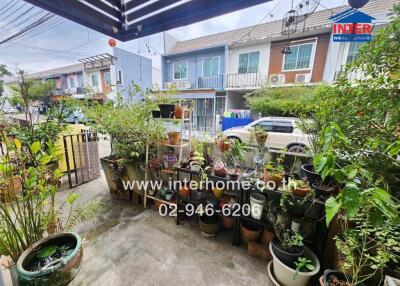 A well-maintained outdoor patio area with various potted plants and a view of the neighborhood