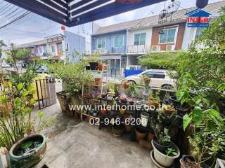 A well-maintained outdoor patio area with various potted plants and a view of the neighborhood