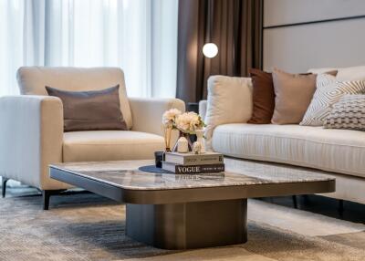 Modern living room with sofas and a coffee table