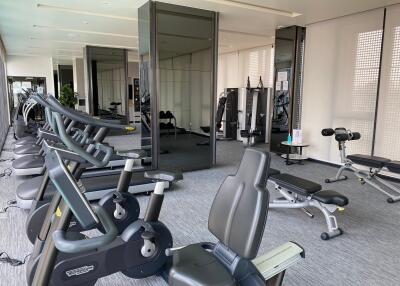 Modern gym with various exercise equipment