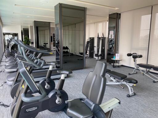 Modern gym with various exercise equipment