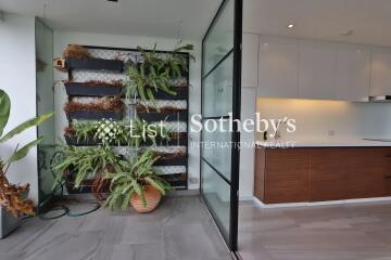 Modern kitchen with indoor plant wall