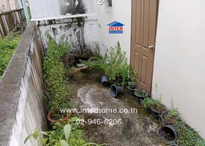 Outdoor area with plants and a door