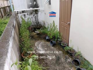 Outdoor area with plants and a door