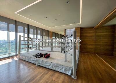 Luxury room with indoor sports area