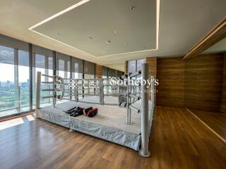 Luxury room with indoor sports area