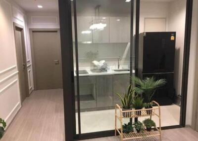 Modern kitchen with glass partition and plants