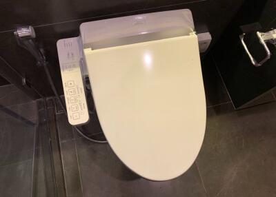 Modern toilet with bidet