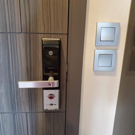 Modern door with digital lock and light switches