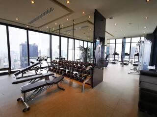 Modern gym with exercise equipment and city view