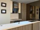 Modern kitchen with sleek cabinets and built-in appliances