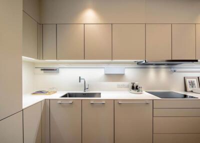 Modern kitchen with light brown cabinets and built-in appliances