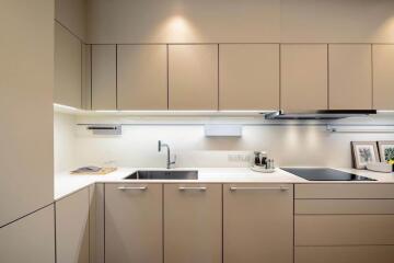 Modern kitchen with light brown cabinets and built-in appliances