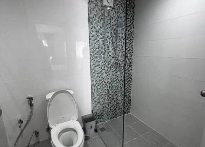 Modern bathroom with a shower and toilet