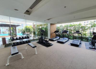 Well-equipped gym with modern exercise machines and weights