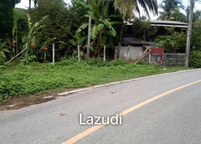 1524 SQ.M Land For Sale At Ban Luang Area