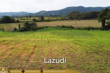 Beautiful Land mountain view for Sale in Mae Kon